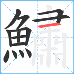 鱐笔顺分解图片14