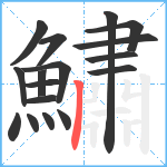 鱐笔顺分解图片17