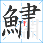 鱐笔顺分解图片18