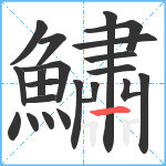 鱐笔顺分解图片22