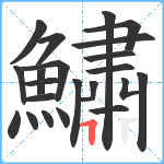 鱐笔顺分解图片23