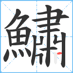 鱐笔顺分解图片24