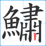 鱐笔顺分解图片25