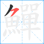 鱓笔顺分解图片2