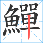 鱓笔顺分解图片23