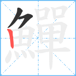 鱓笔顺分解图片3