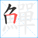 鱓笔顺分解图片4