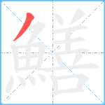 鱔笔顺分解图片1