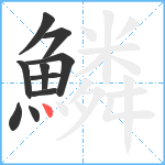 鱗笔顺分解图片10