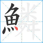 鱗笔顺分解图片11