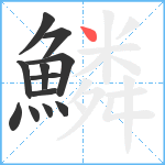 鱗笔顺分解图片12