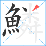 鱗笔顺分解图片13