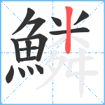 鱗笔顺分解图片15