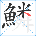 鱗笔顺分解图片17