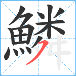 鱗笔顺分解图片19