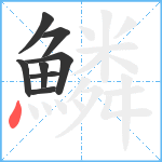 鱗笔顺分解图片8