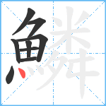 鱗笔顺分解图片9