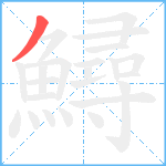 鱘笔顺分解图片1