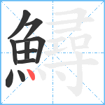 鱘笔顺分解图片10