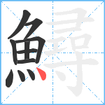 鱘笔顺分解图片11