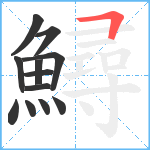 鱘笔顺分解图片12