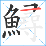 鱘笔顺分解图片13