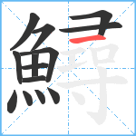 鱘笔顺分解图片14