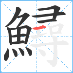 鱘笔顺分解图片15