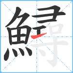 鱘笔顺分解图片17