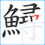 鱘笔顺分解图片19
