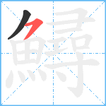 鱘笔顺分解图片2
