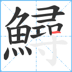 鱘笔顺分解图片20