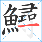 鱘笔顺分解图片21