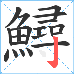 鱘笔顺分解图片22