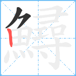 鱘笔顺分解图片3