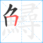 鱘笔顺分解图片4