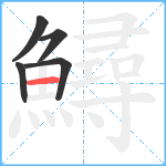 鱘笔顺分解图片5