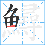 鱘笔顺分解图片7