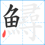 鱘笔顺分解图片8