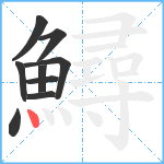 鱘笔顺分解图片9