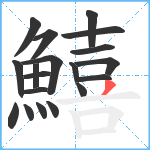 鱚笔顺分解图片19