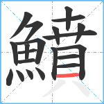 鱝笔顺分解图片21