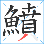 鱝笔顺分解图片22