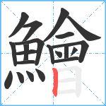 鱠笔顺分解图片21