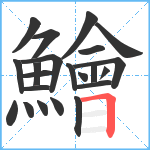 鱠笔顺分解图片22