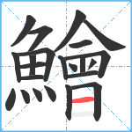 鱠笔顺分解图片23