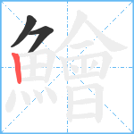 鱠笔顺分解图片3