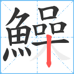 鱢笔顺分解图片22