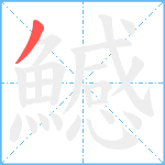 鱤笔顺分解图片1