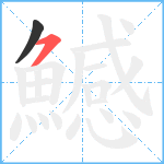 鱤笔顺分解图片2